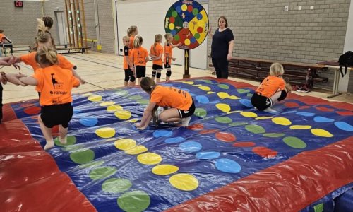 Afbeelding Levend Twister - 1